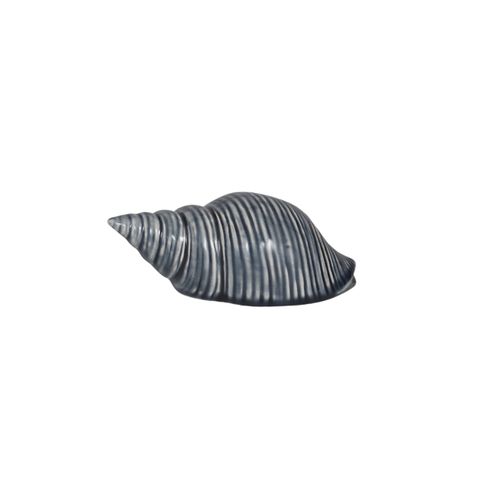 Sea Snail shell sculpture